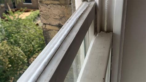 sash window seals|draught proofing for sash windows.